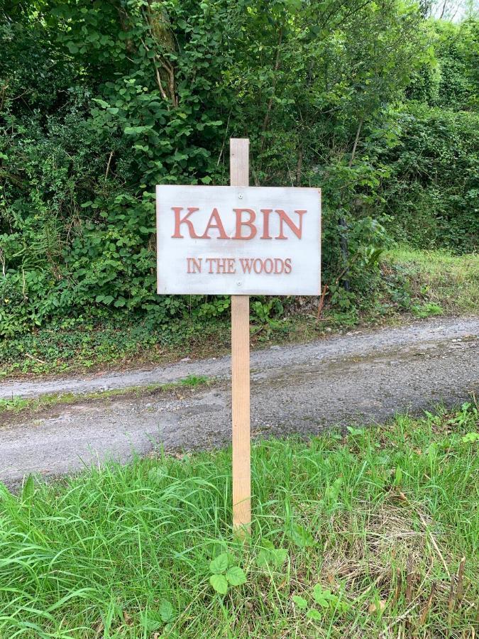 Kabin In The Woods Villa Llandybie Exterior photo